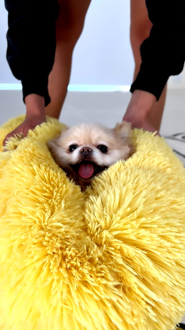 sssniperwolf instagram image archive image