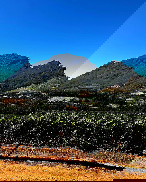 taylor.creeden taylor.creeden archive image