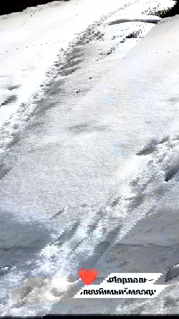 nyityam nyityam archive image