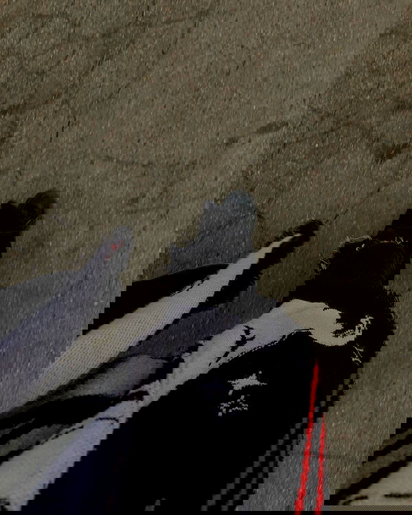 annfigmax image ~ Altpins