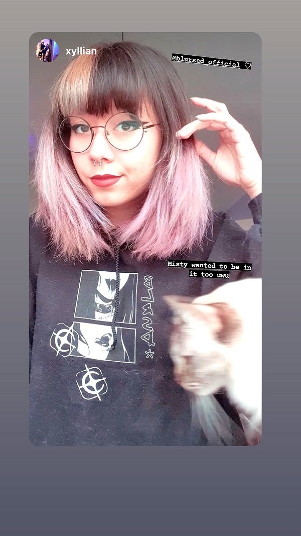 blursed.co instagram image archive image