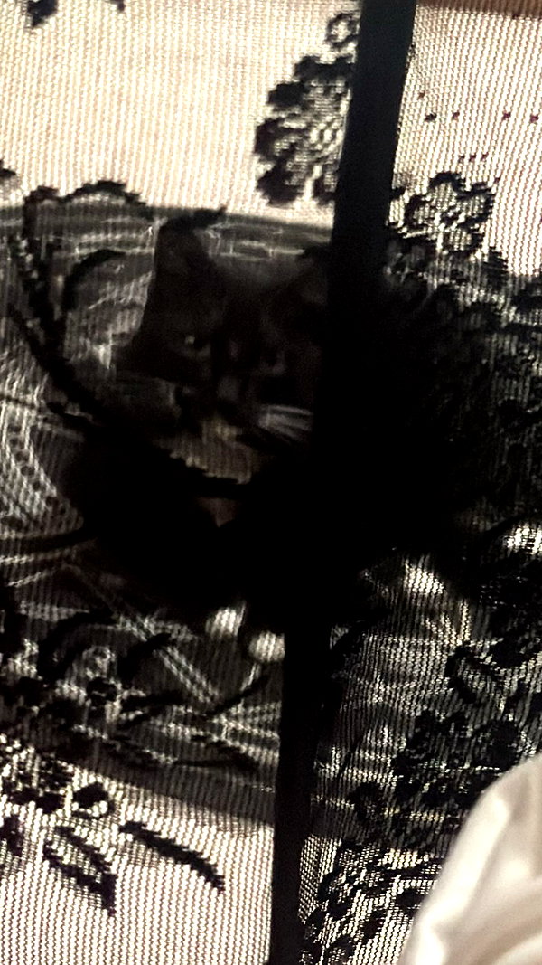 vampiryska instagram image archive image