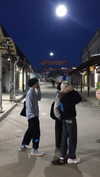 dwpolin Altpins Profile Picture