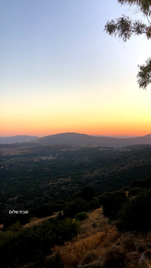 yaelxyazdi instagram image archive image