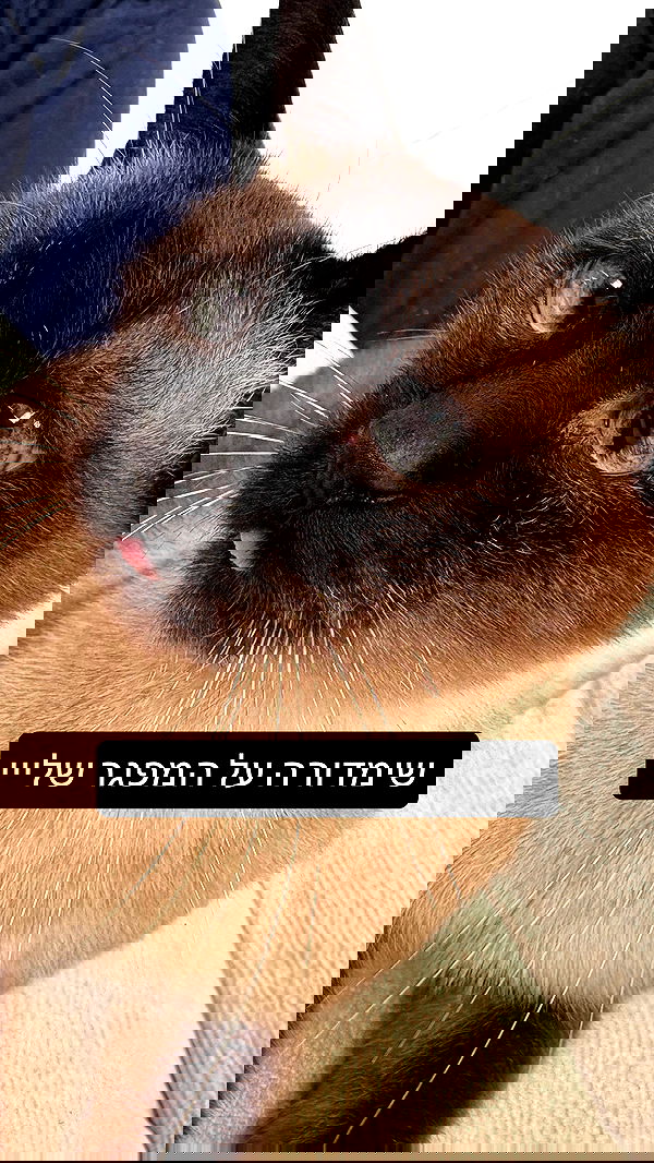 laluzone laluzone archive image