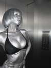 ann.shellll Altpins Profile Picture