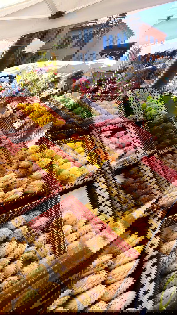 taylor.creeden taylor.creeden archive image