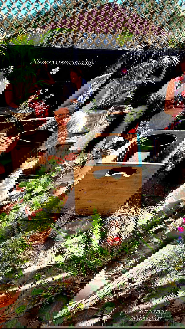 taylor.creeden taylor.creeden archive image