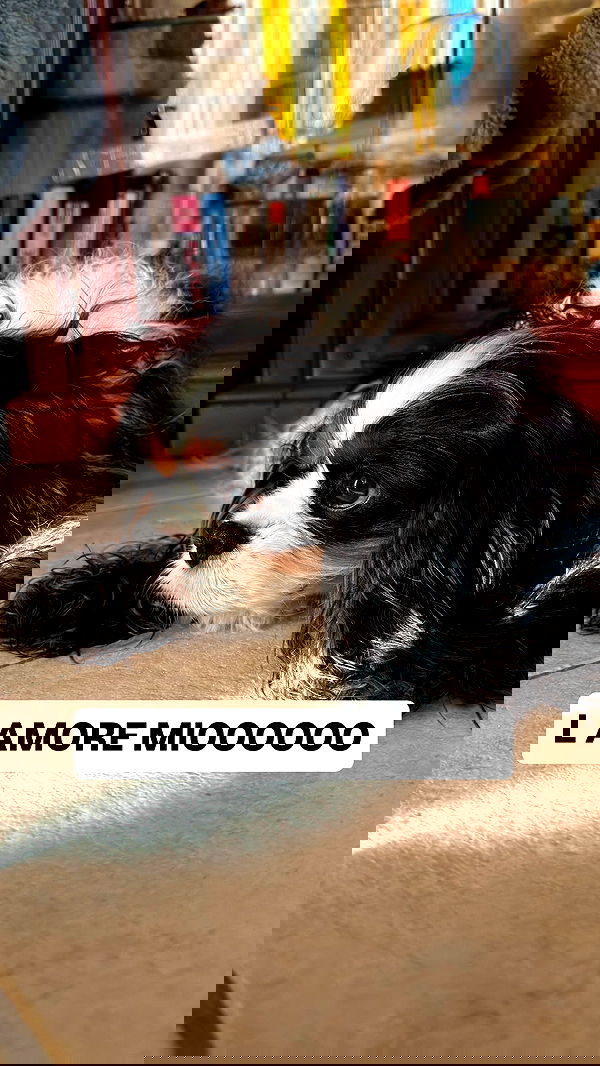 kasumi_sen kasumi_sen archive image