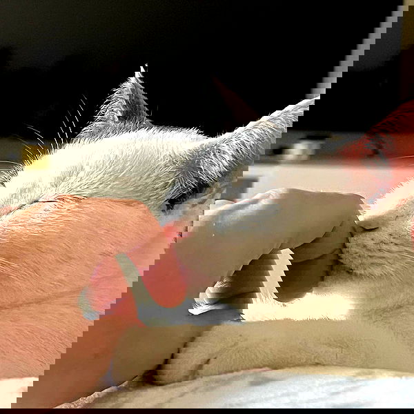 missnyxdawn missnyxdawn archive image