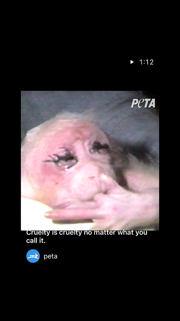 lilih archive image