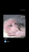 lilih Altpins Profile Picture