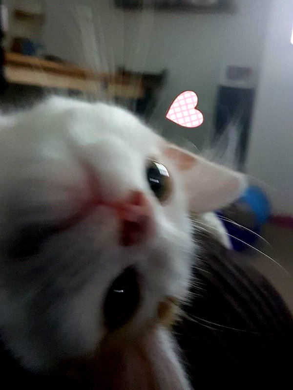 Archived image from @owol.xx on Instagram