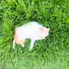dante_yangpa Altpins Profile Picture