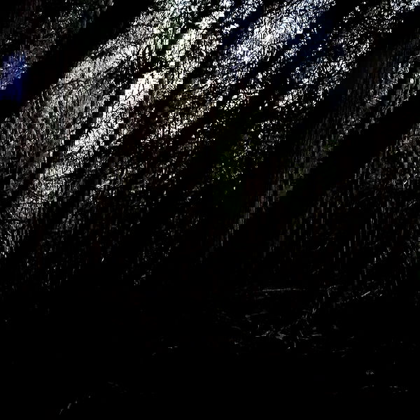 xombunni image ~ Altpins