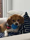 kyla.doddsss Altpins Profile Picture
