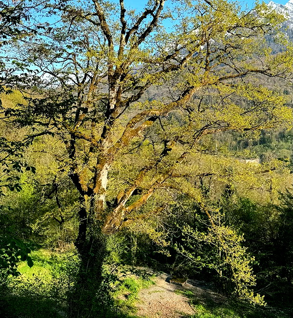amatveyko instagram image archive image