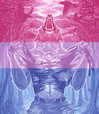ambrzinha666 Altpins Profile Picture