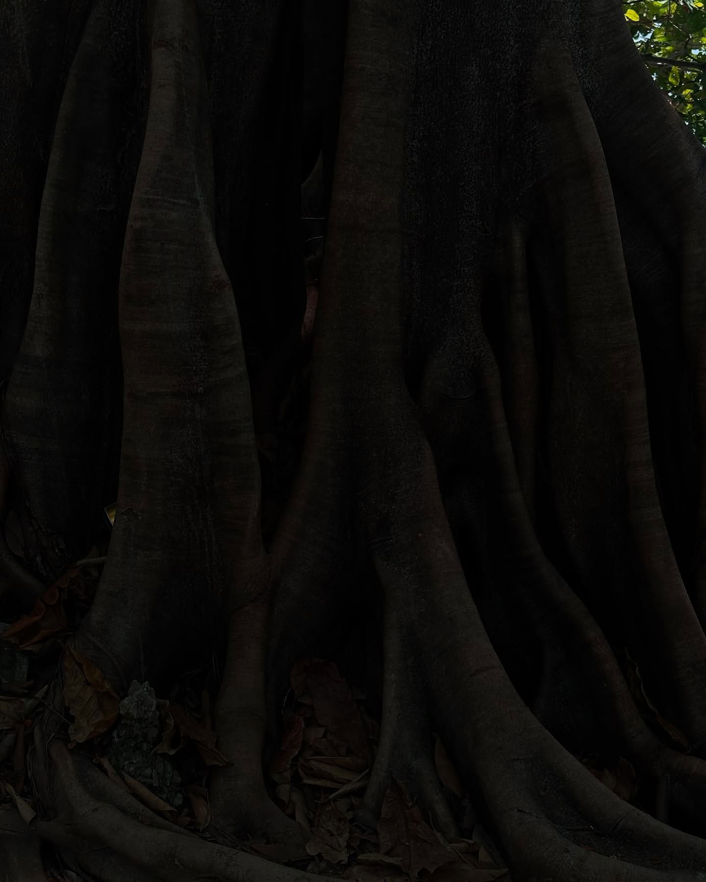 kkulakovaa instagram image archive image