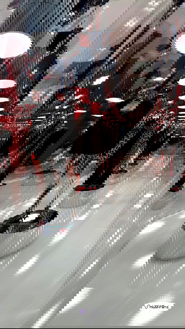 taylor.creeden taylor.creeden archive image