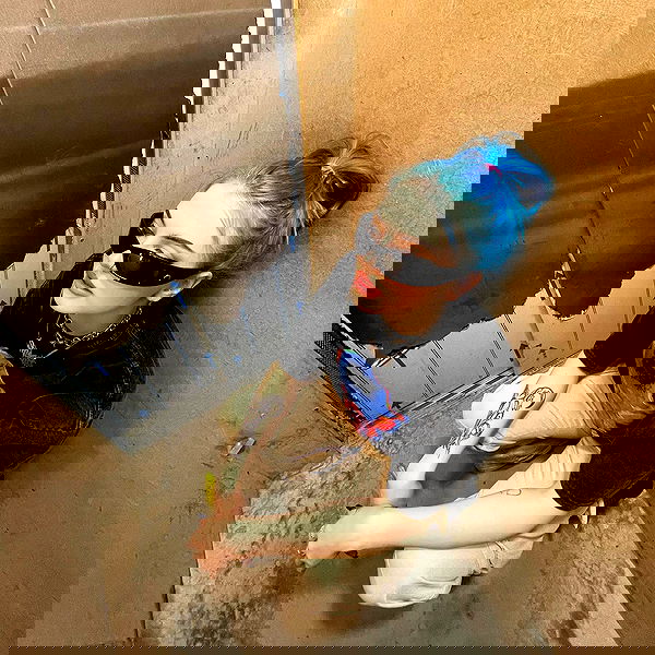 annfigmax image ~ Altpins