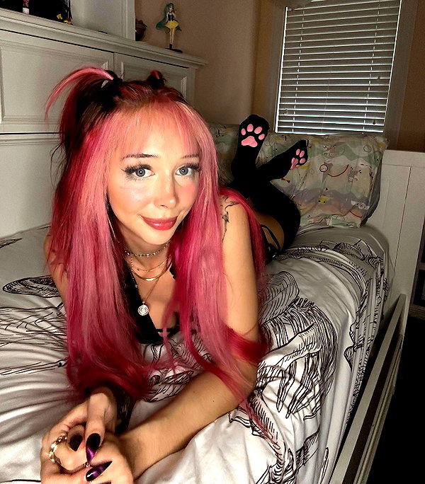 pixelpuppi instagram image archive image