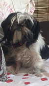 babynympho_archive Altpins Profile Picture