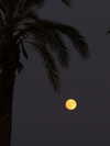 alexxndrraa Altpins Profile Picture