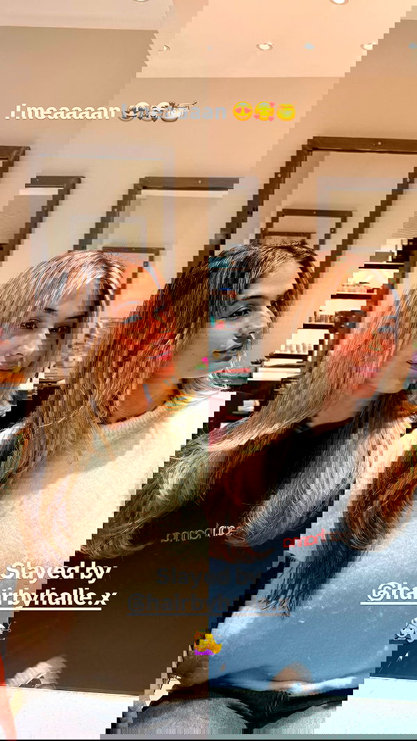 bakedsloths bakedsloths archive image