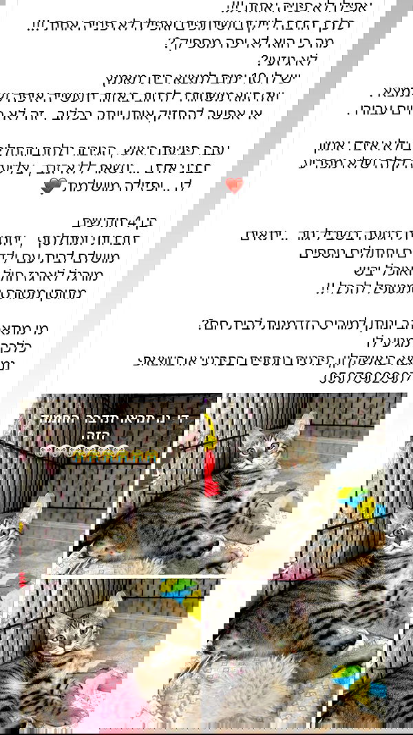 mishel116 mishel116 archive image