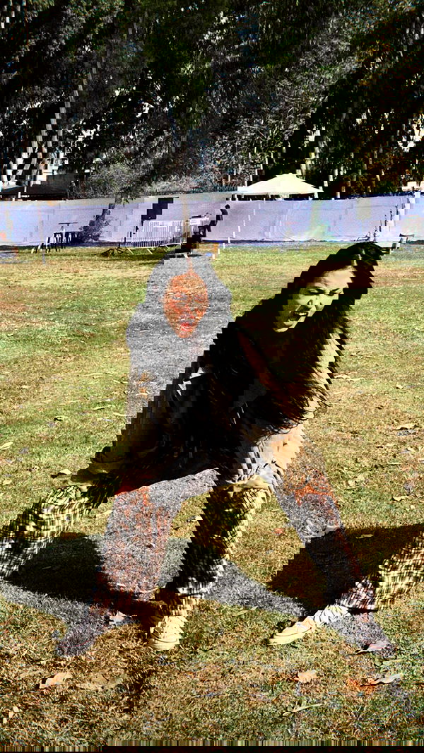 laluzone laluzone archive image