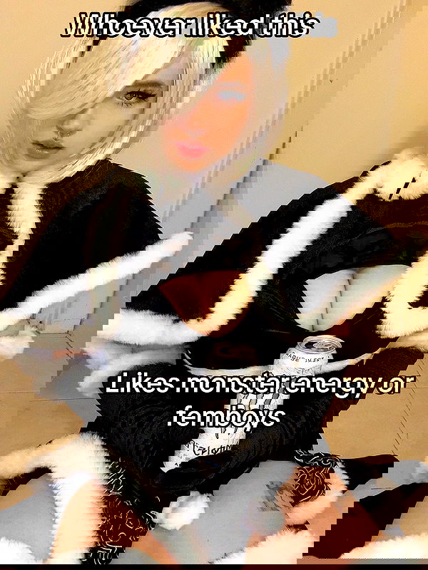 chibinekopurr chibinekopurr archive image