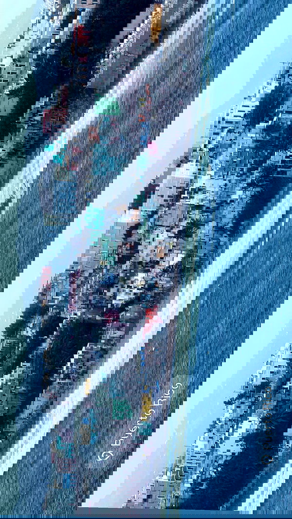 svgarbvnnies svgarbvnnies archive image