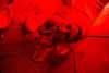yotamkigler Altpins Profile Picture