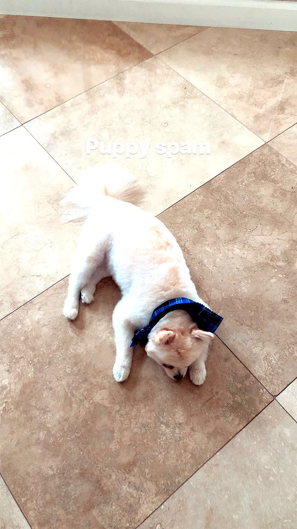 sssniperwolf instagram image archive image