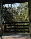 rouxroux.tv Altpins Profile Picture