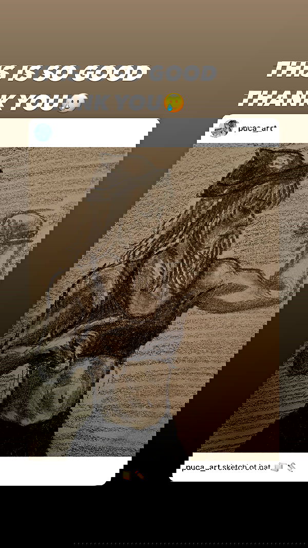 6nattynat9 6nattynat9 archive image