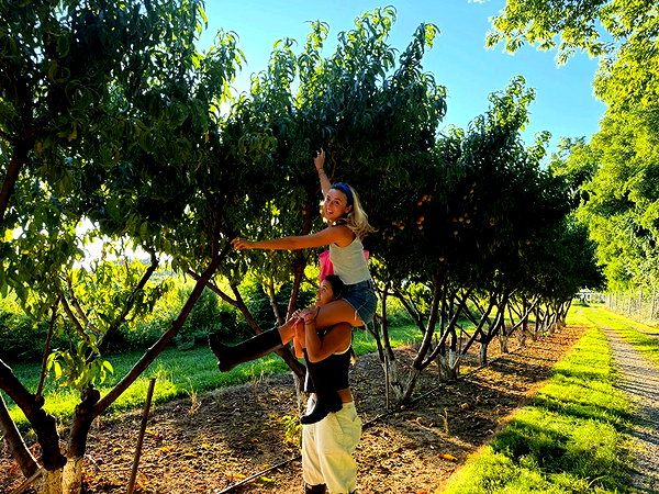 isabella.lauren instagram image archive image