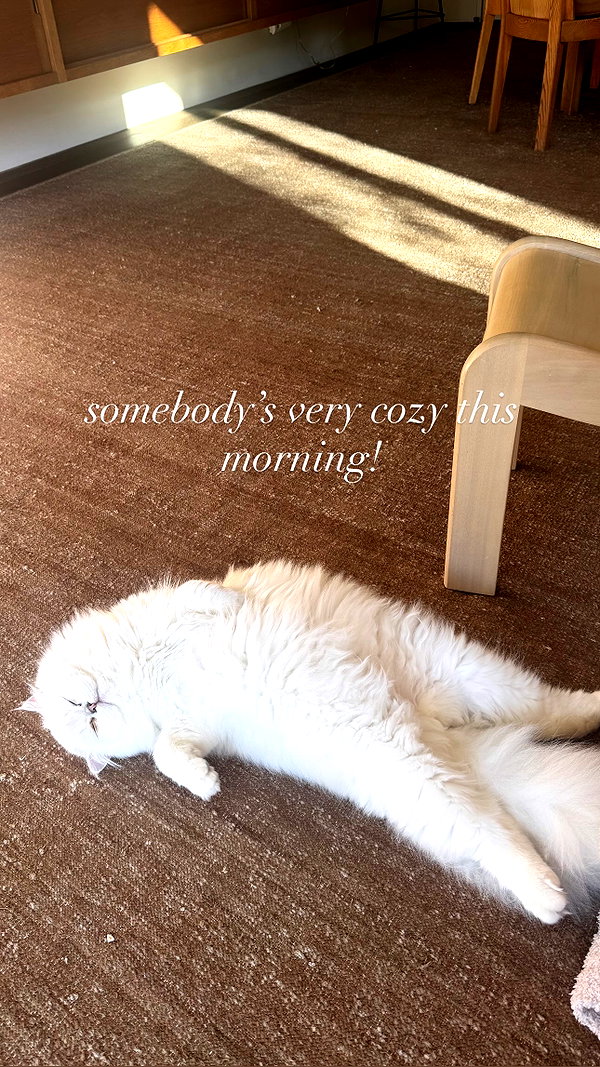 Archived image from @kyliejenner on Instagram