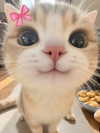 lulymakima Altpins Profile Picture