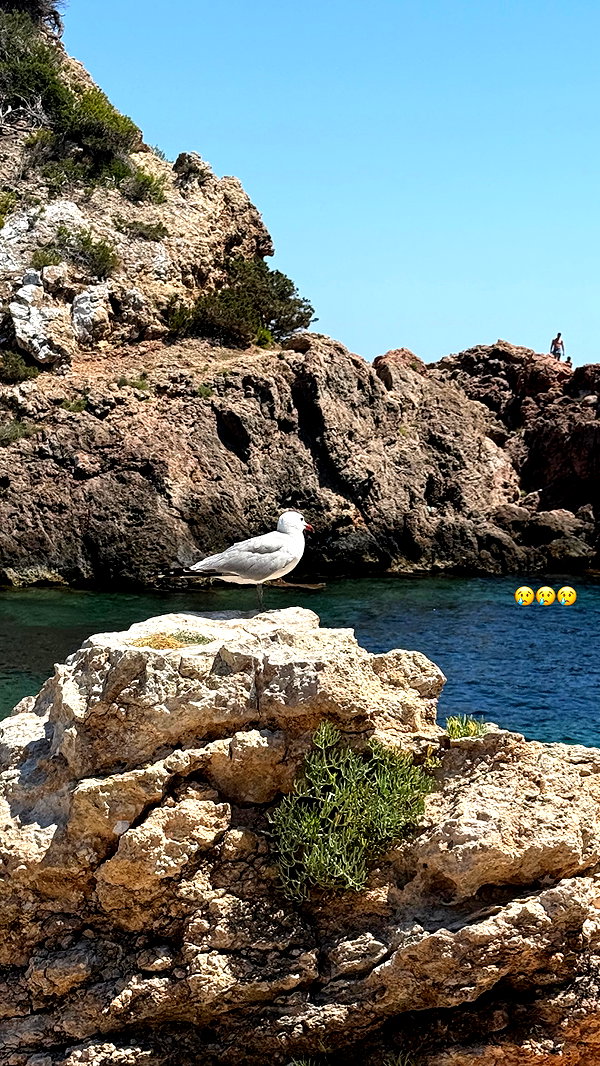 shira_adar_ instagram image archive image