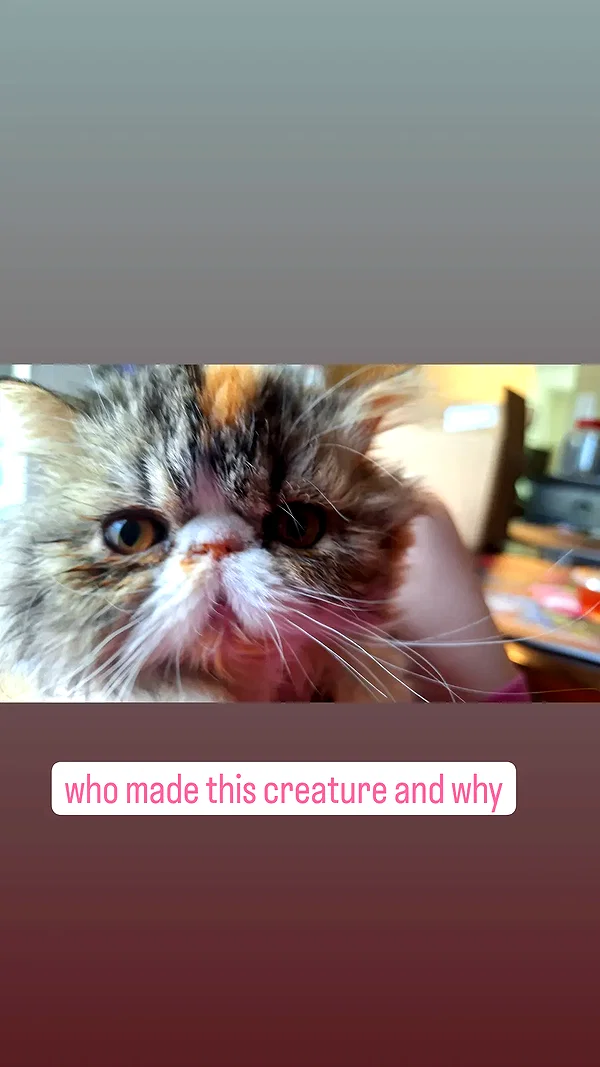 mirekyarahire instagram image archive image