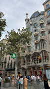 michal_cohen017 Altpins Profile Picture