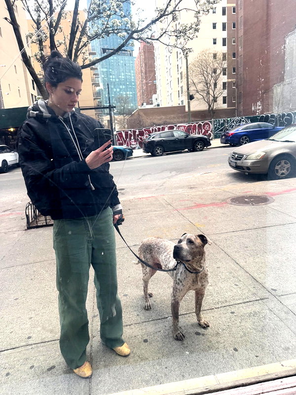 reneeebeller instagram image archive image