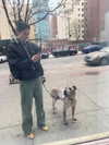 reneeebeller Altpins Profile Picture
