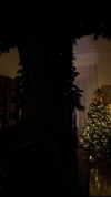 annabottoo Altpins Profile Picture