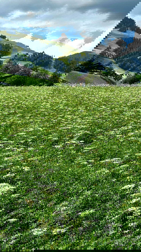 taylor.creeden taylor.creeden archive image