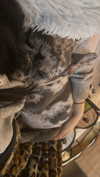 rott3nbambi Altpins Profile Picture