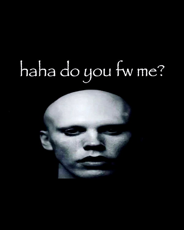 leanbeefpatty instagram image archive image