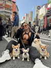 itshayleydavies Altpins Profile Picture
